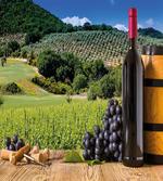 Idyllic Tuscany Country