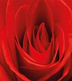 Natural Beauty Red Blossom