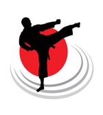 Man Karate Kick Silhouette