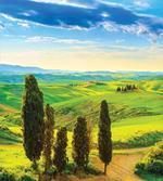 Rural Sunset in Italy