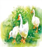Goose Farm Lake Plants artwork