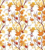 Autumn Season Elements Nature