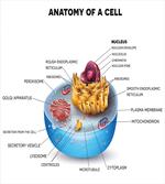 Microscopic Parts