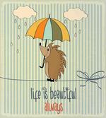 Tightrope Walker Hedgehog