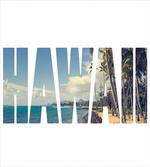Hawaii Themed