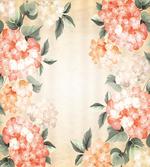 Blooming Hydrangea Flowers
