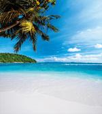 Exotic Island Beach