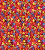 Colorful Blooming Daisy