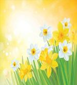 Flower Garden in Summer