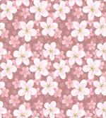 Cherry Blossoms Petal