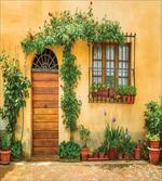 Plants and House Door