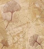 Vintage Leaves Grunge