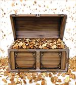 Wealth Themed Gold Coins