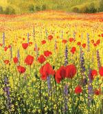 Field with Poppies Farm