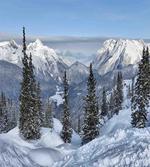 Woodland Snowy Mountain