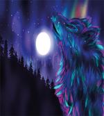 Aurora Borealis and Wolf