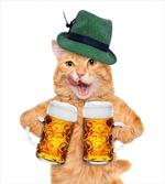 Cool Cat Hat Beer Mug Funny