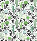Hedgehog Saguaro Cartoon
