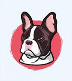 French Bulldog Hipster