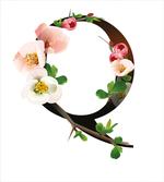 Q with Quince Flora artwork