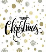 Merry Xmas Snowflake