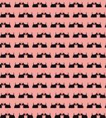 Pinky Animal Romance artwork