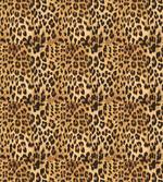 Leopard Print