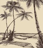 Hammock on Sandy Beach