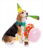 Birthday Dog Balloon