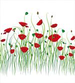 Flowers on a Rural Field