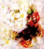 Flower Garden Orchids