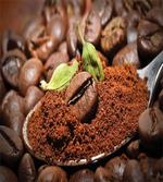 Flavor of Green Cardamom artwork