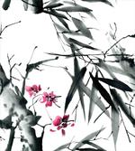 Natural Spring Buds