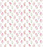 Roses Tulips Snowdrops
