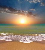 Idyllic Beach Scenery