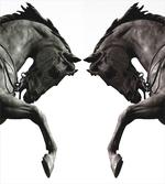 Abstract Horse
