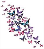 Wings Feminine artwork