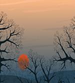 Sunrise Branches Misty Sky