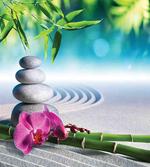 Spa Sand Orchid Flower