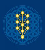 Flower of Life Pattern artwork