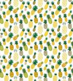 Cartoon Fruits Pineapples