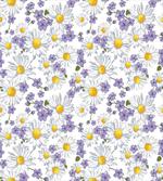 Blossoming Wild Flowers