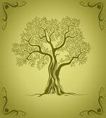 Olive Tree Pattern artwork