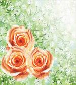 Watercolor Roses