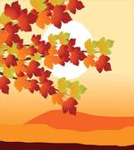 Maple Tree Branches