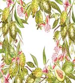 Feijoa Exotic Fruit Floral