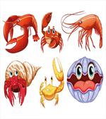 Crab Hermit Crab Lobster