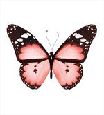 Butterfly Valentines