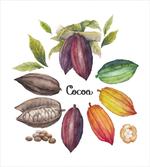 Exotic Food Colorful Design