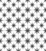 Monochrome Windrose